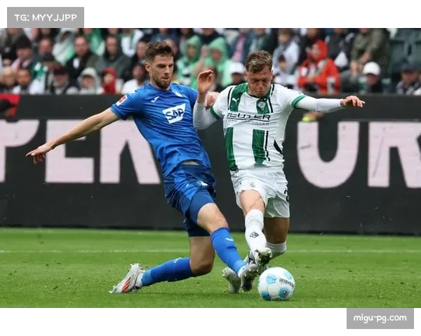 霍芬海姆客场逆转沃尔夫斯堡 布格尔梅开二度助力胜利